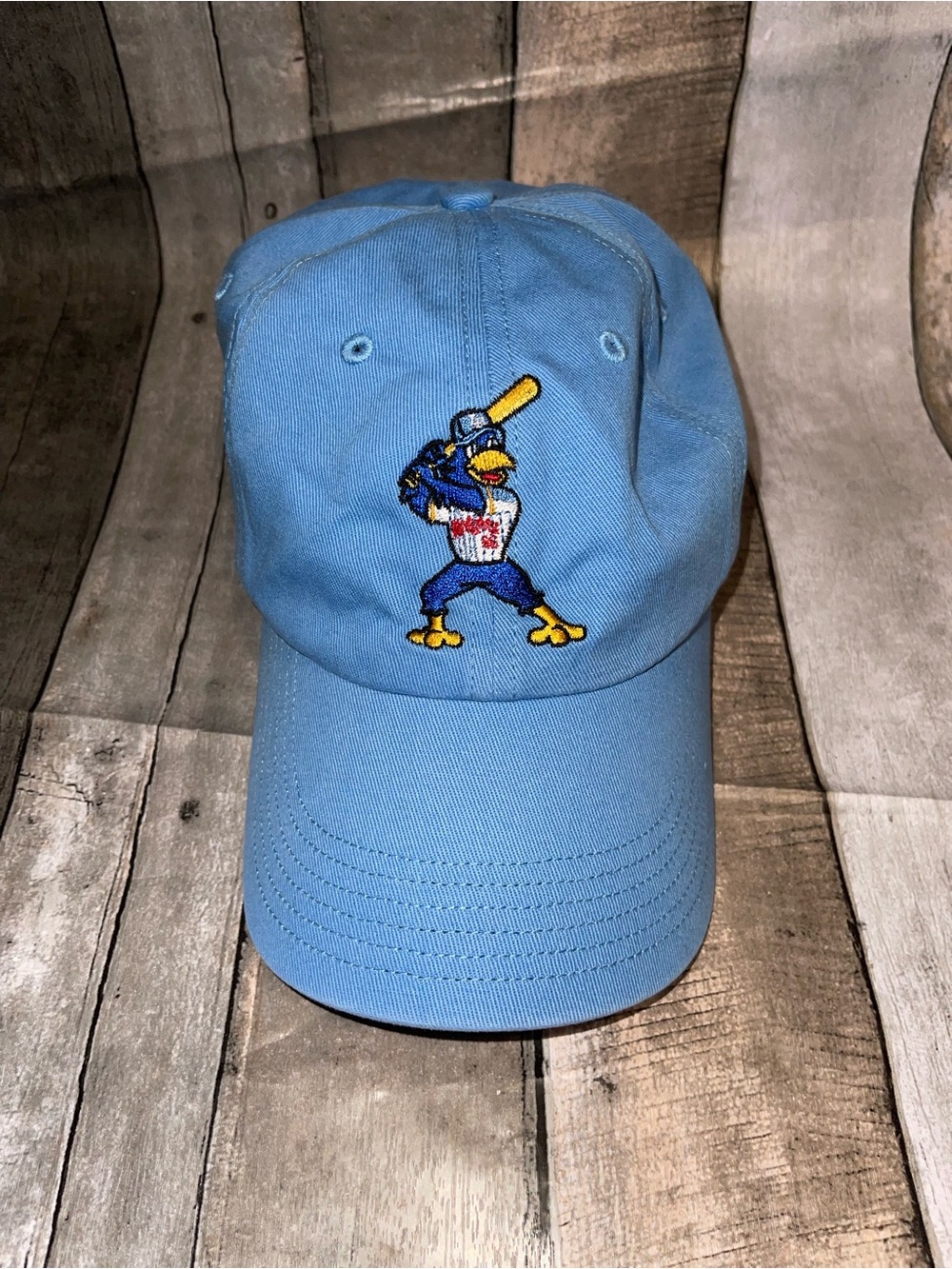 Richardson R Model R55 Blue Baseball Hat Embroidered Blue Bird Jay Bluebird